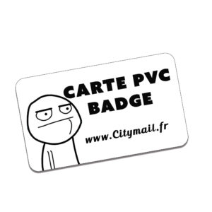 Cartes PVC Badge 100 ex.